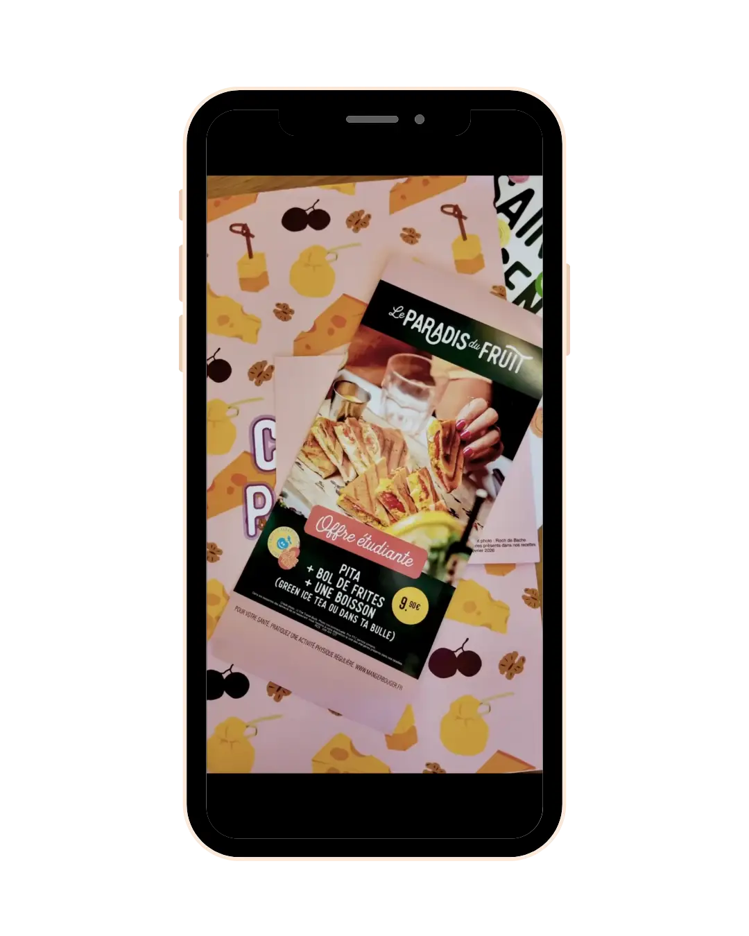 LE PARADIS DU FRUIT OFFRE ÉTUDIANTE